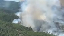 Europe heatwave: Watch wildfires ravage Portugal as Spanish Air Force called in to douse flames