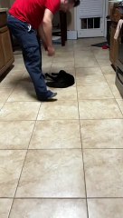 Binxy Loves Being Slid Across the Floor