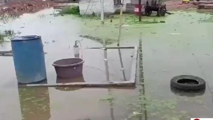 दतिया: मूसलाधार बारिश से पानी में डूबे बस्ती के कई मकान, लोगों की जान को खतरा