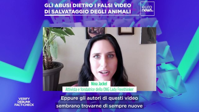 I video di salvataggio degli animali su TikTok sono sempre reali?