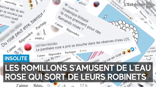 Insolite : les internautes se lâchent après le problème d'eau rose dans les robinets de Romilly-sur-Seine