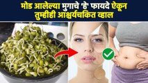 मोड आलेल्या मुगाचे(Sprouts)हे फायदे ऐकून तुम्हीही आश्चर्यचकित व्हाल | Health Benefits Of Sprouts MA3