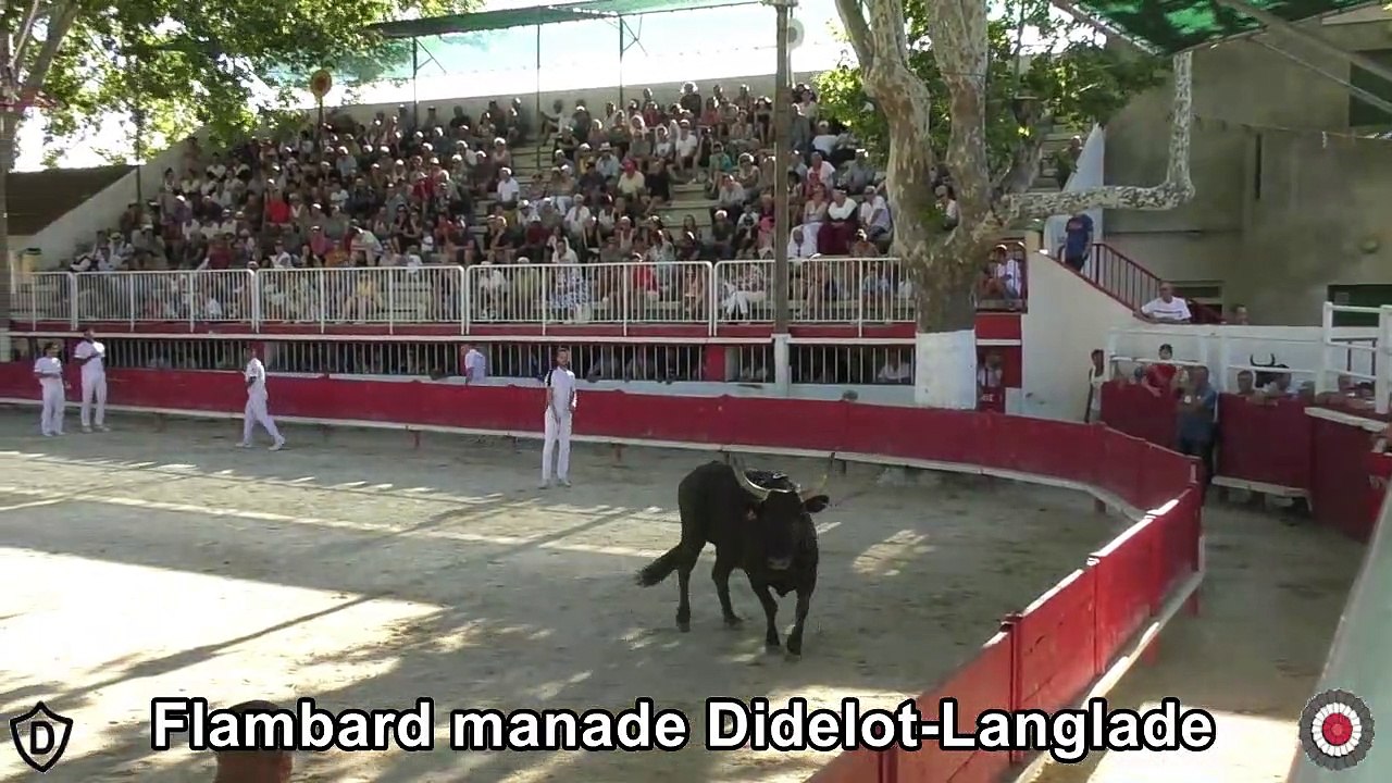 2023 08 01 Flambard