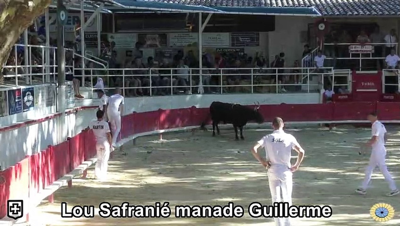 2023 08 01 Lou Safranié