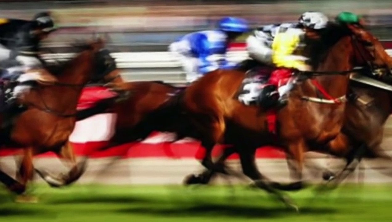 Woah Shamrock! Rider loses control of retired racehorse