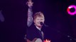 Ed Sheeran stopped gig over the weekend to help a couple announce the gender of their unborn baby