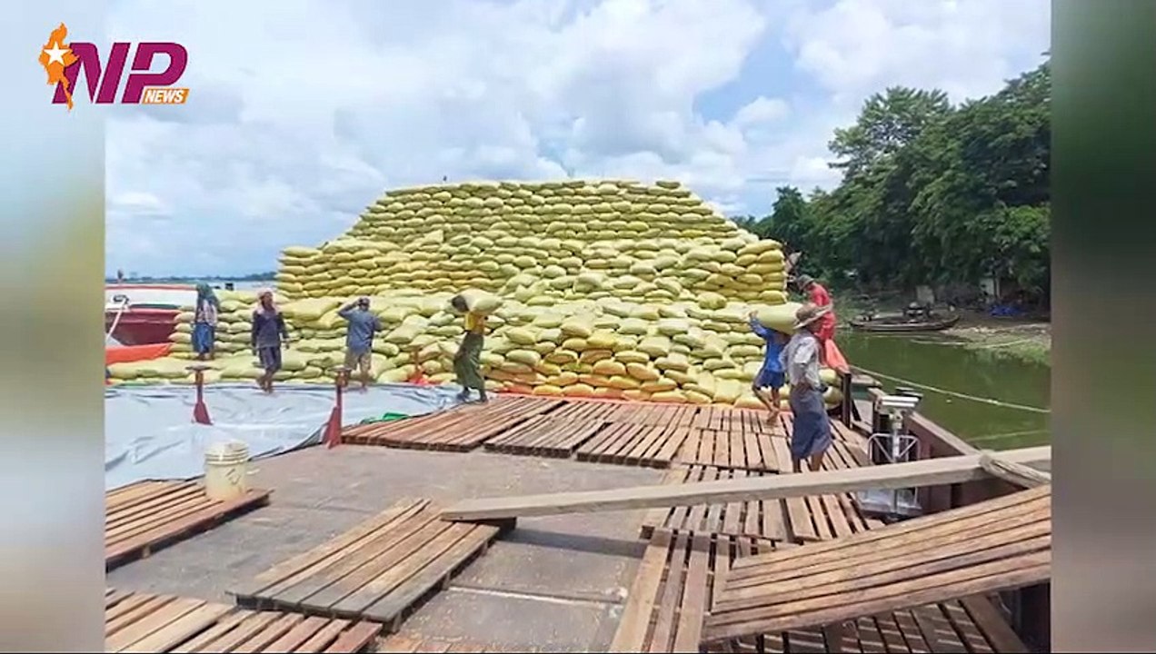 Myanmar exported 1.5 million tons of corn