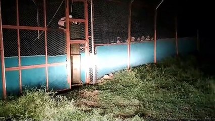 रामगढ़ मिशन पूरा अब सरिस्का की बारी