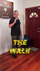 You MUST Master These 3 Things With Your Dog