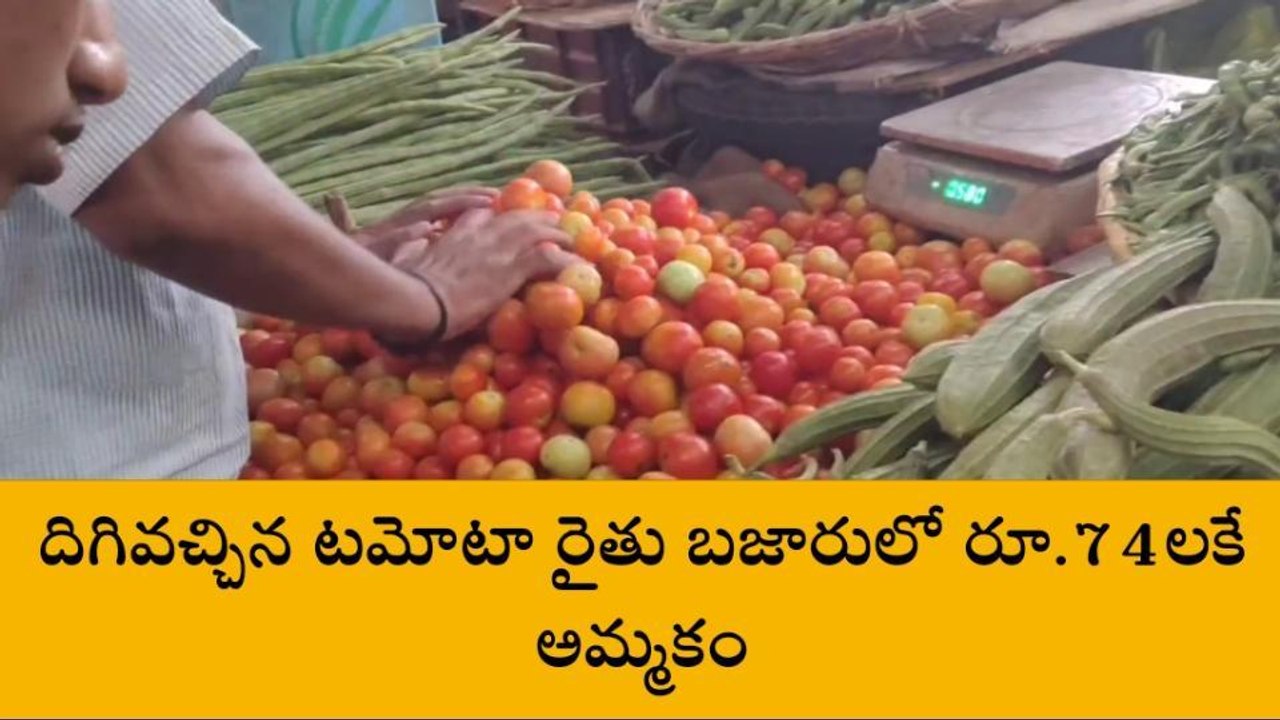 తూర్పుగోదావరి జిల్లా: దిగివచ్చిన టమాటా.. కిలో ధ...