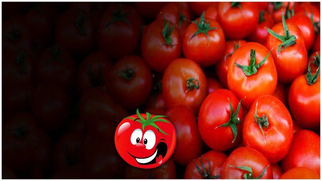 Tamato Price..టమాటా ధరలు భారీగా తగ్గుముఖం.. | Telugu OneIndia