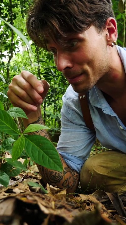 Cette fourmi peut élever d'autres insectes !