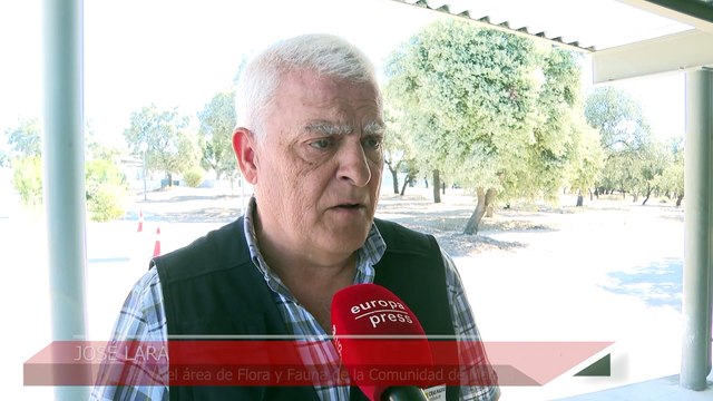 Madrid atiende a más de 4.300 animales silvestres heridos durante el primer semestre de este año