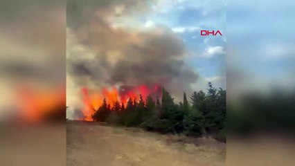 Incendie de forêt à Çanakkale：Réponse aérienne et terrestre aux flammes