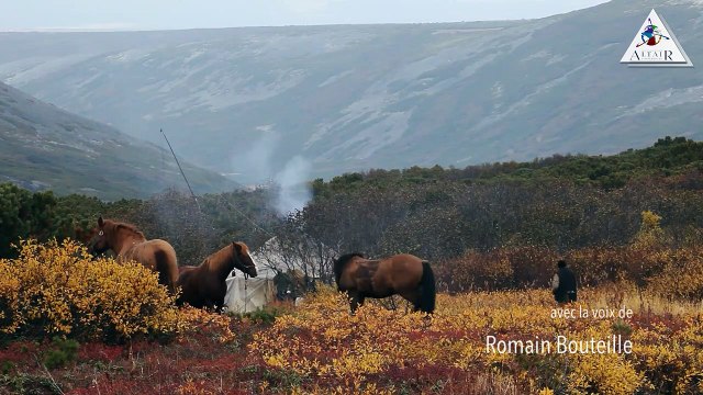 KAMTCHATKA – Lettres à Olga Bande-annonce VF