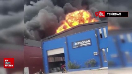 Tekirdağ'da bir fabrika alevlere teslim oldu