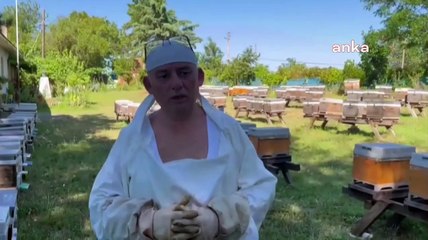 Les producteurs de miel de châtaignier sont dans une situation difficile