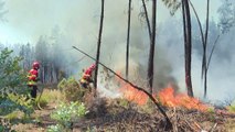 حريق غابات يأتي على سبعة آلاف هكتار في وسط البرتغال