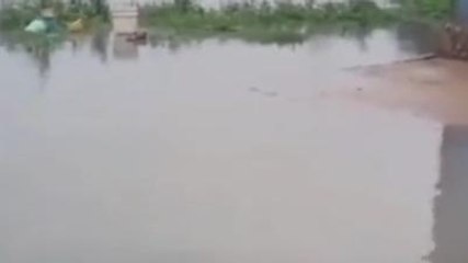 बारिश से किसानों की फसले हुई चौपट, किसानों ने सर्वे कराए जाने की मांग की