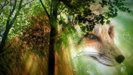 The story of our master Joseph, peace be upon him