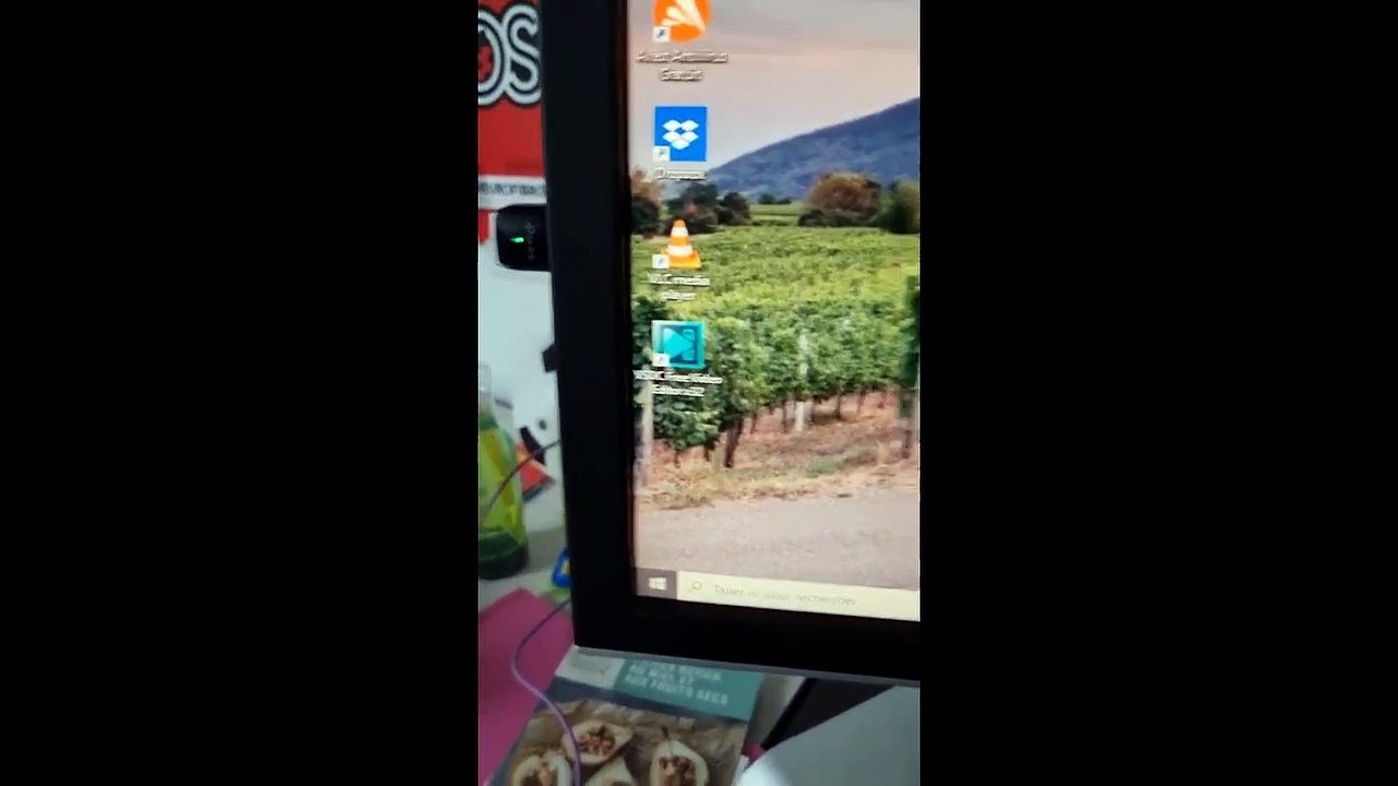 Petit dino