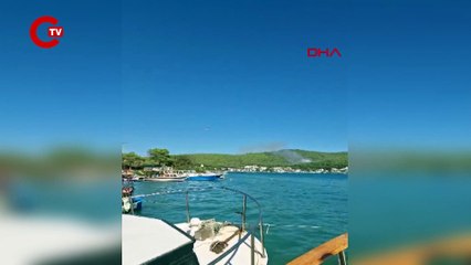 Bodrum'da orman yangını: Ekipler müdahale ediyor