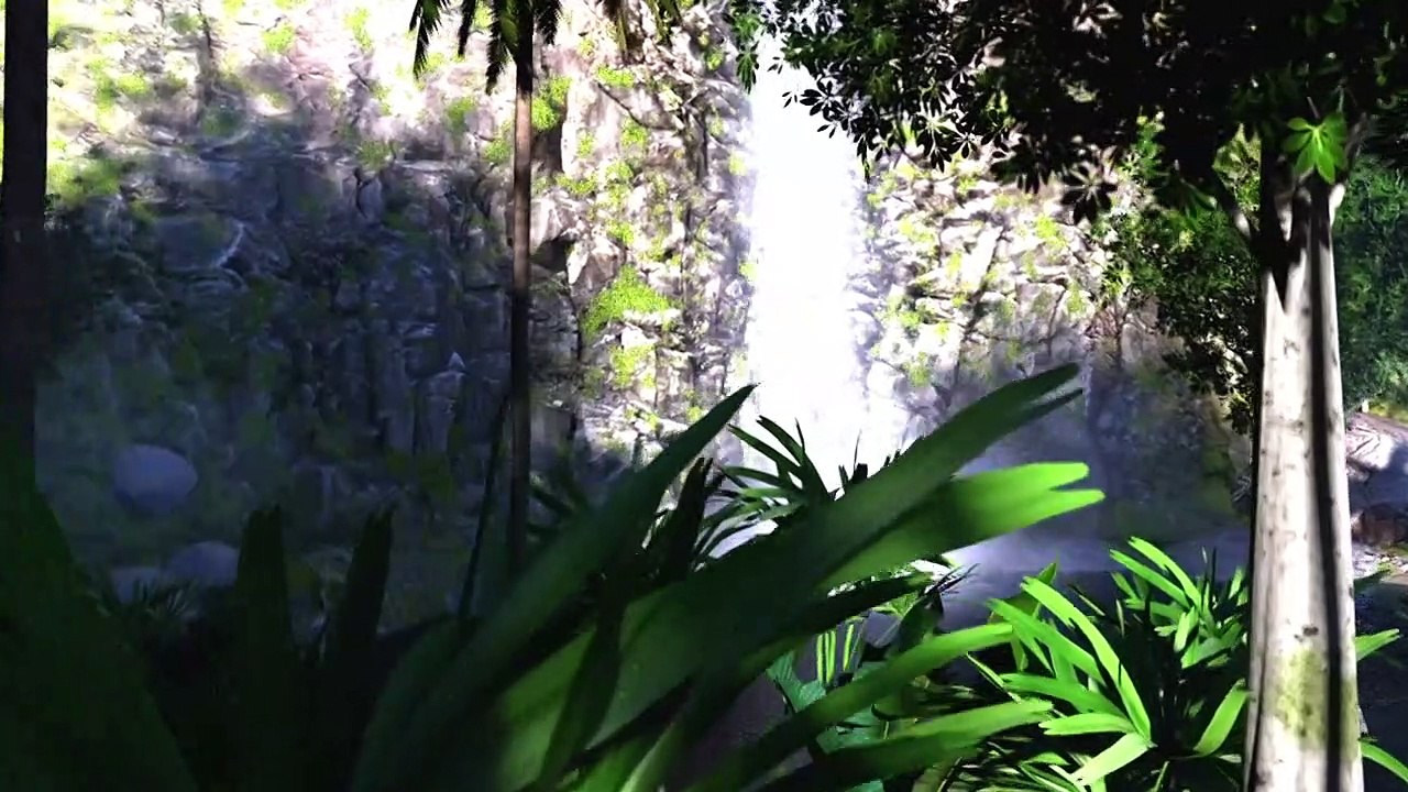 The Amazon rainforest