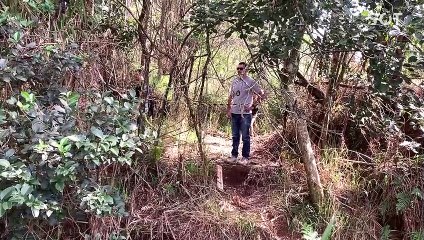 Homem é encontrado morto em área de mata no Bairro Santos Dumont