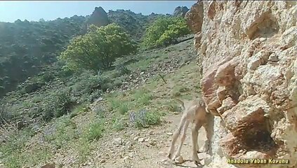 Tekirdağ'da kimya fabrikasında yangın