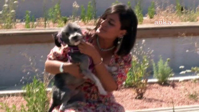 Hatay'da enkazdan kurtarılan köpek İzmir'de sıcak bir yuvaya kavuştu