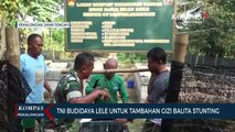 TNI Kodim 0710/Pekalongan Panen Perdana Budidaya Ikan Lele