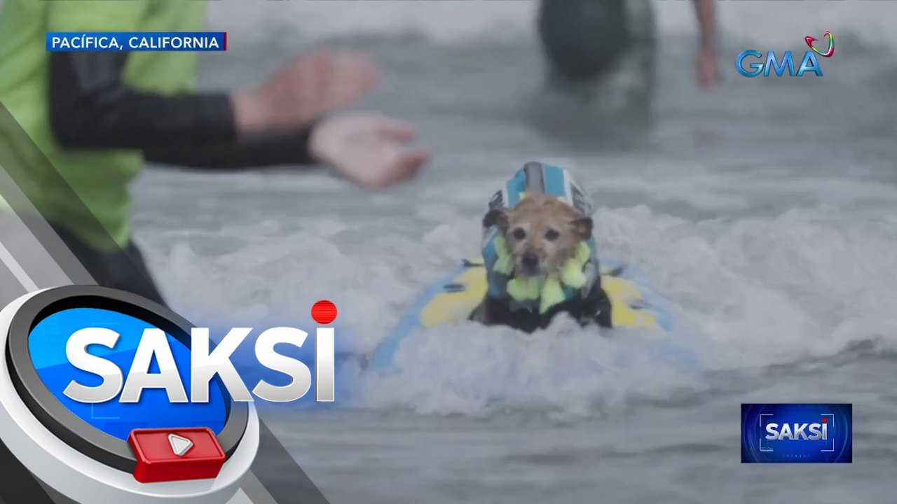 Mga aso, naki-surfin' in the U.S.A. sa World Dog Surfing Championships | Saksi