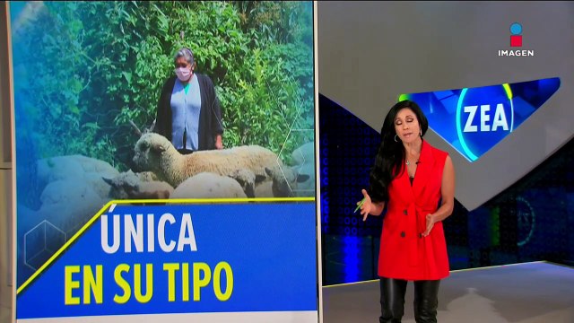 Clínica Veterinaria Milpa Alta atiende a mascotas comunes y animales de granja