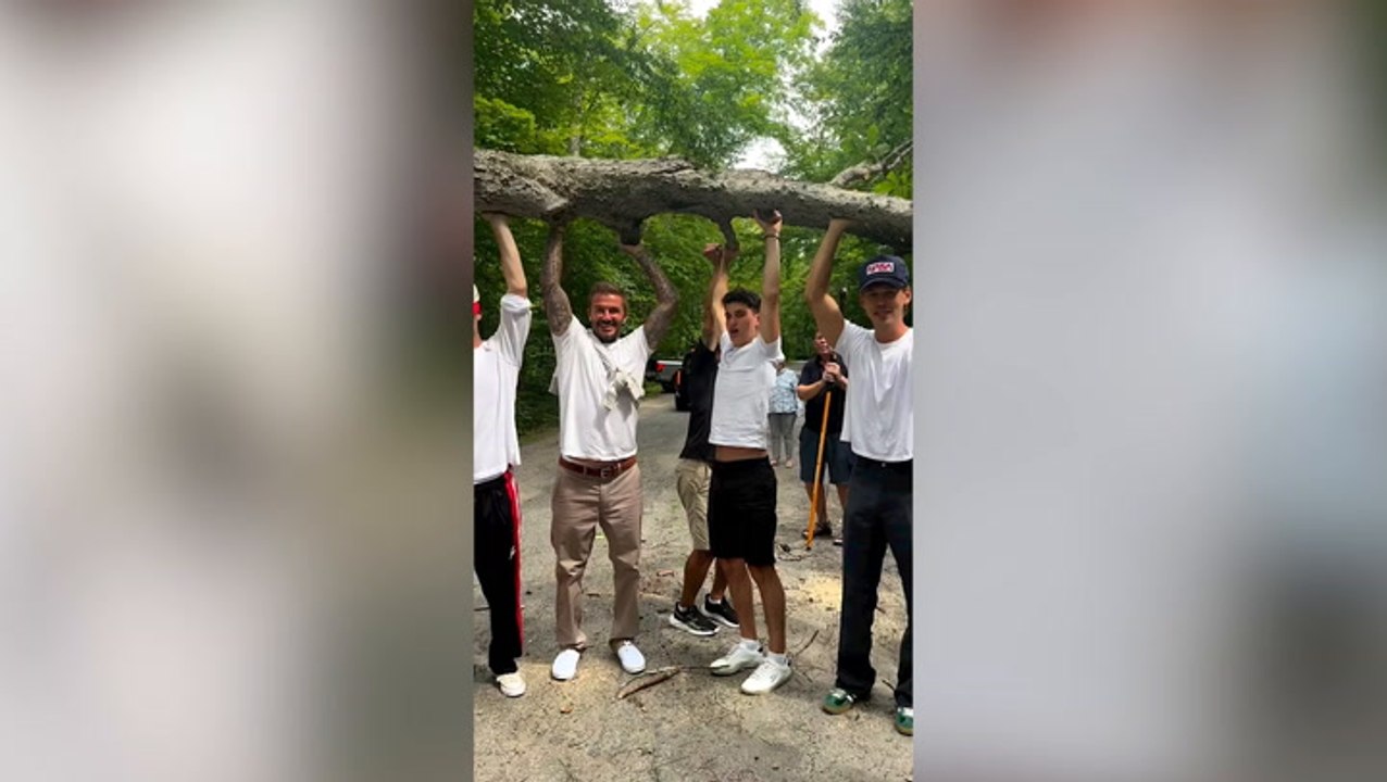 Bizarre moment David Beckham, son Cruz and Austin Butler ‘rescue’ Victoria Beckham from fallen tree