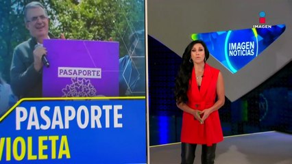 Marcelo Ebrard propone crear un pasaporte violeta para jefas de familia