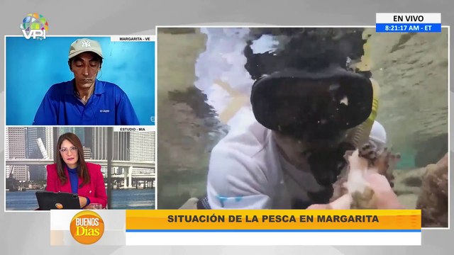 Alertan sobre falta de medidas preventivas ante coral invasor en las costas venezolanas