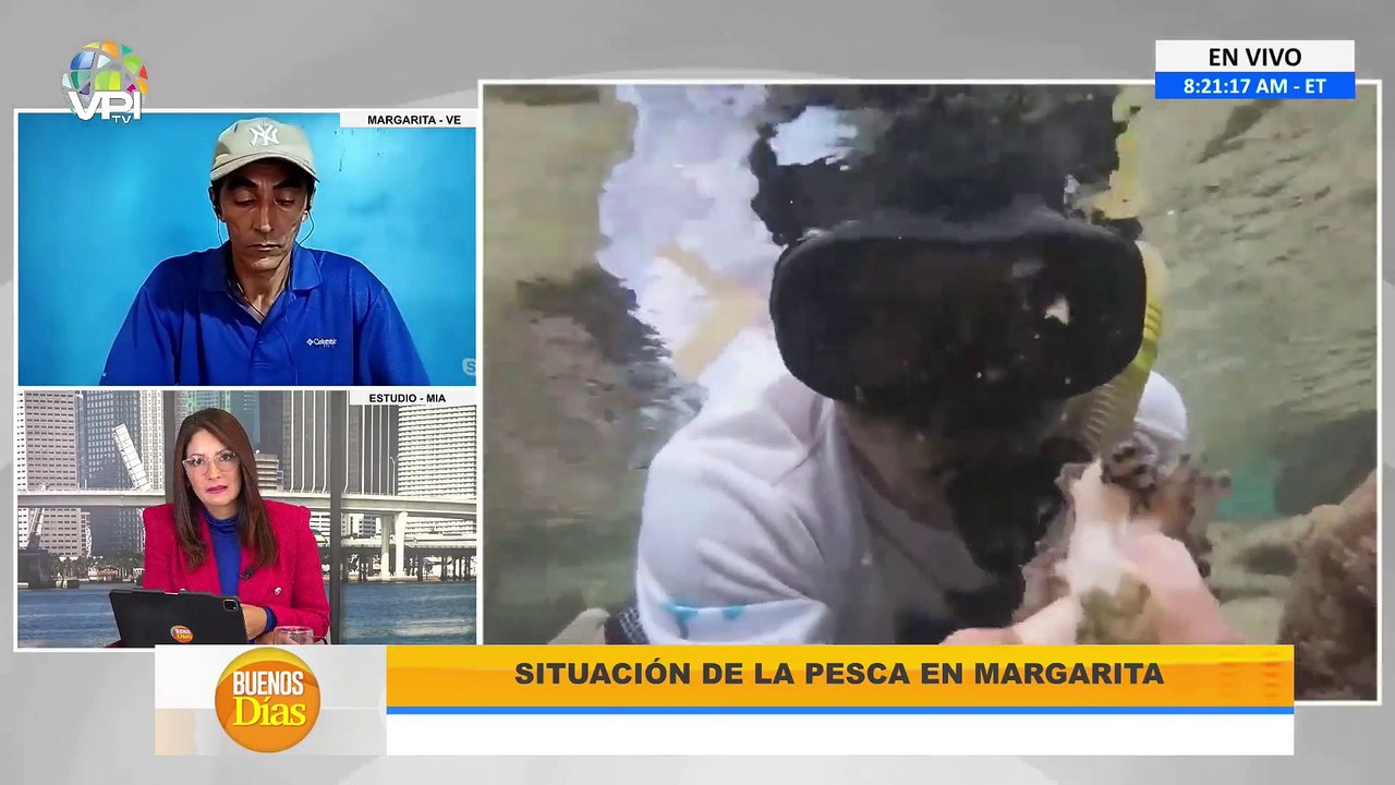 Alertan sobre falta de medidas preventivas ante coral invasor en las costas venezolanas