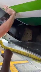 Urso foge durante voo para Dubai e passageiros precisam deixar avião