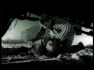 Covek i zver (1963) Domaci FIlm