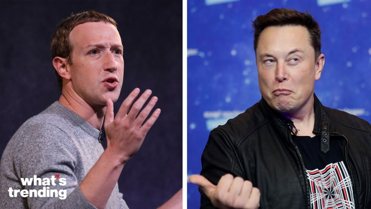 Social Media Slams Elon Musk for Delaying Zuckerberg Versus Musk Fight