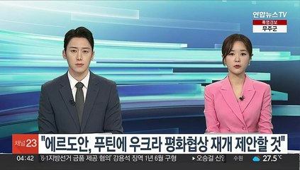 "에르도안, 푸틴에 우크라 평화협상 재개 제안할 것"