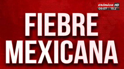 La "Luismimania" es incontrolable: todos los secretos del Rey Sol