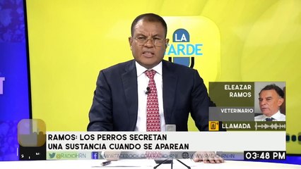 No creo que un perro haya abusado de un niño: Veterinario Eleazar Ramos