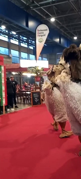 La Foire d'Automne Grenoble à Alpexpo   #France #foiredegrenoble #Alpexpo #foireexpo #foiredefrance  (58)