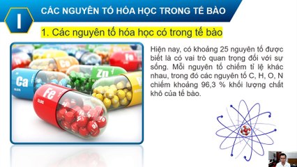 Sinh 10 - Bài 5 Các nguyên tố hóa học và nước