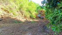 Caterpillar D6R XL Bulldozer Action Widening Roads in the Forest