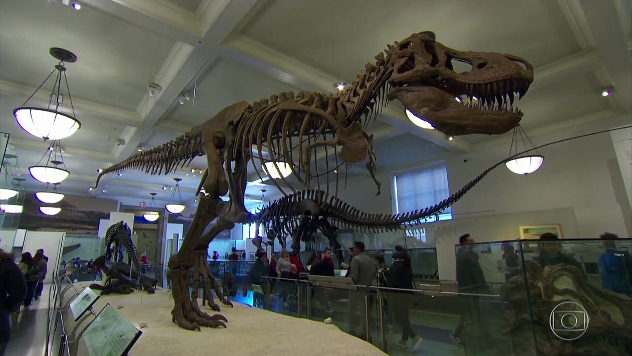 TIRANOSSAURO REX