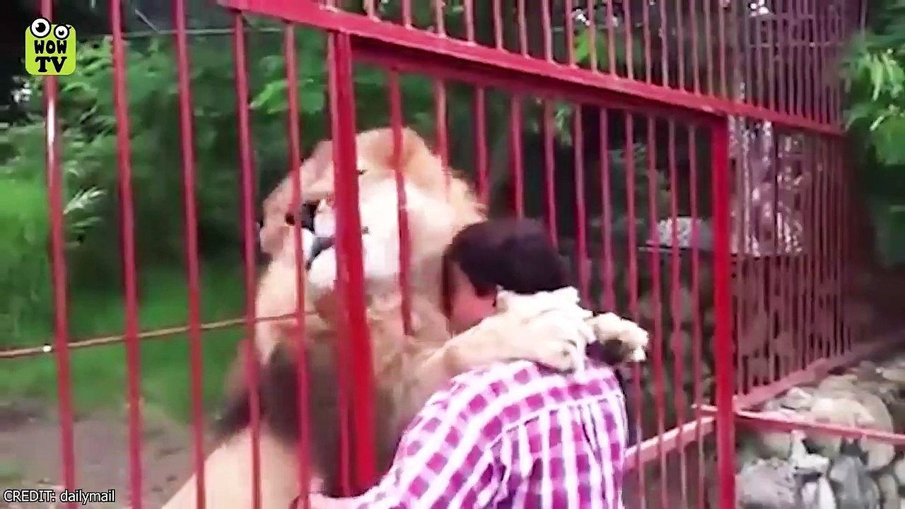 Animals Reunited With Owners After Years!