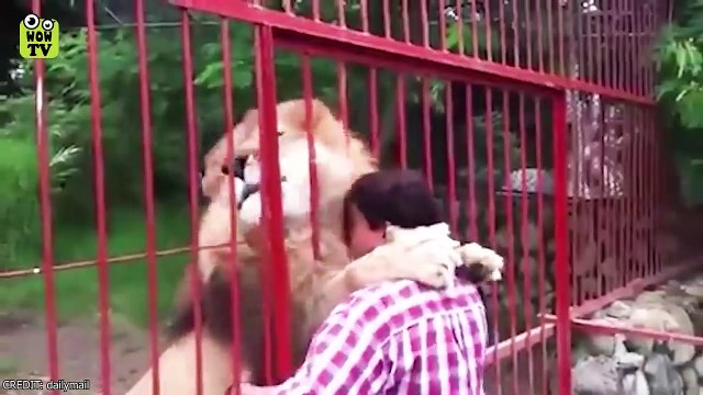 Animals Reunited With Owners After Years!