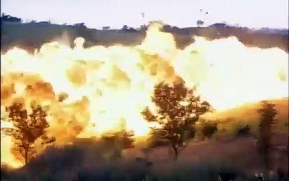 Les proies - Le carnage Bande-annonce (EN)